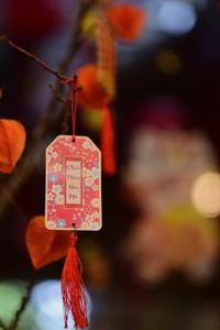 rút tiền nhanh Nohu